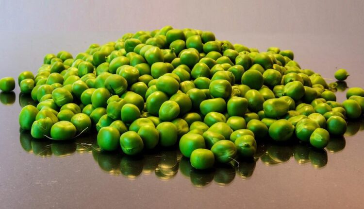 may-9-—-day-of-glafira-gorshnitsa.-peas-and-potatoes-are-talking-…