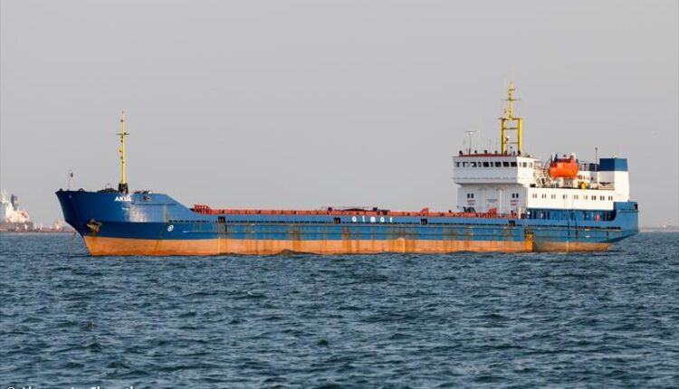 bulk-carrier-grain-carrier-caught-fire-in-the-sea-of-​​azov