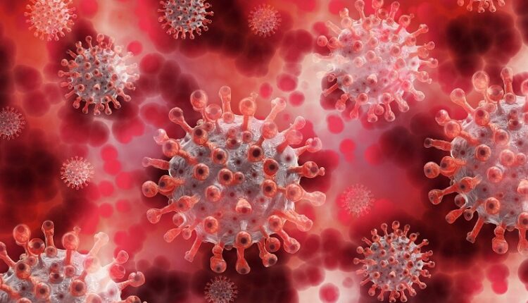 47-cases-of-new-coronavirus-infection.-covid-19-in-crimea