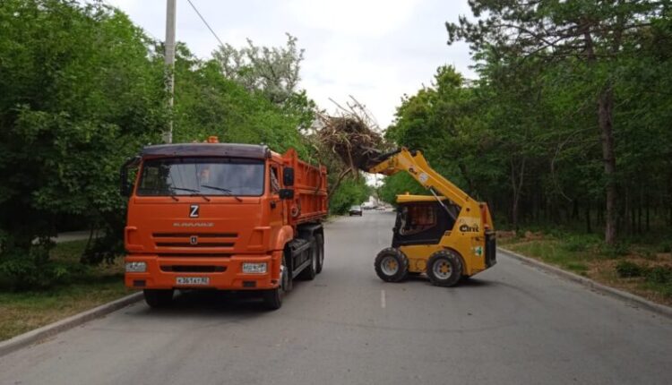 rain-and-wind-knocked-down-several-trees-in-simferopol