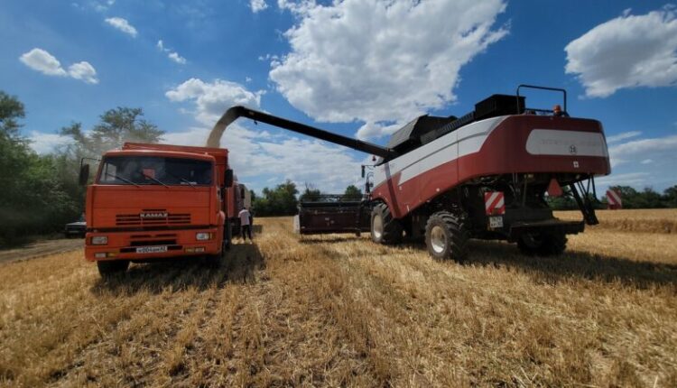 campaign-2022:-grains-and-legumes-are-harvested-in-crimea