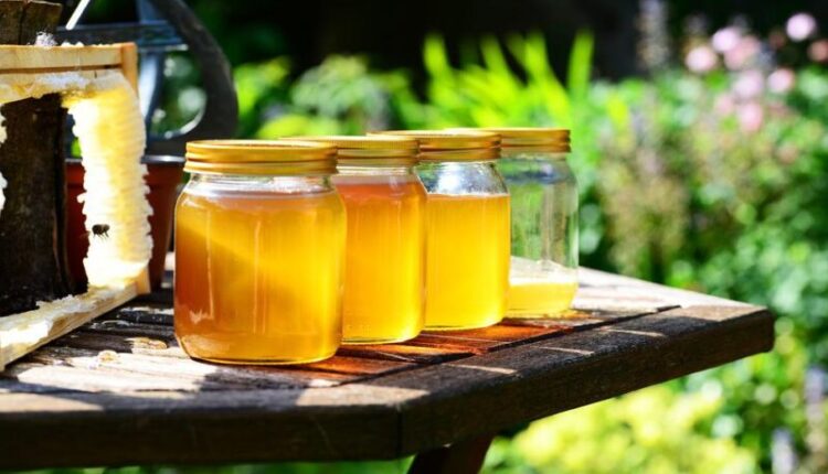 crimea-is-in-the-top-regions-of-russia-where-the-most-delicious-honey-is-harvested