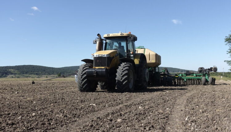 sowing-of-winter-crops-for-the-harvest-of-2023-began-in-crimea