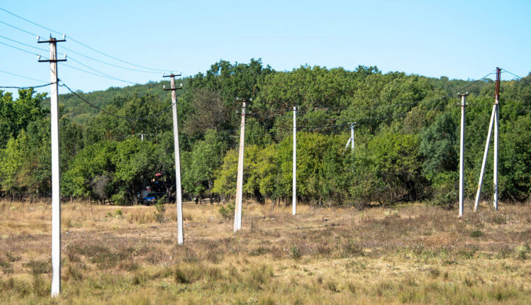 “electricity-has-run-out”:-the-contract-for-the-construction-of-power-lines-with-the-mass-cutting-of-red-listed-trees-on-the-south-coast-has-been-terminated