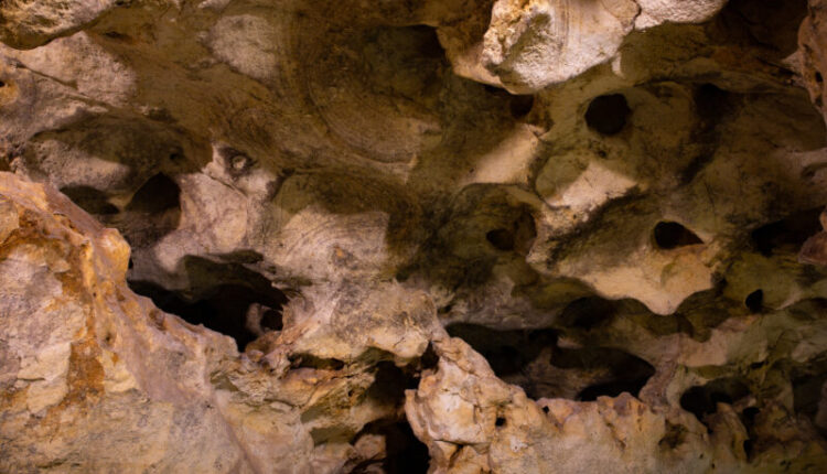 how-many-caves-in-crimea-were-found-this-year?-statistics-of-kfu-experts