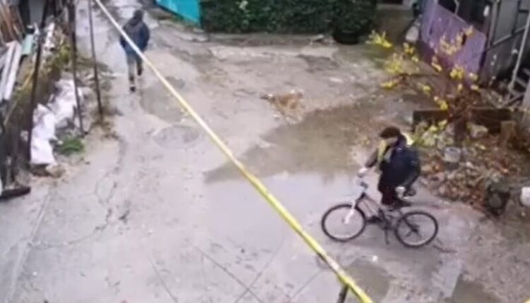 why-did-you-take-the-dog?-theft-in-simferopol