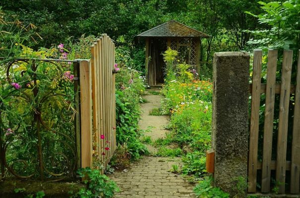 demand-for-garden-improvement-has-increased-in-russia