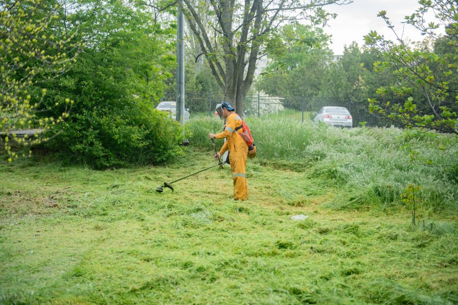 in-sevastopol-mowed-grass