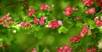 cities-of-crimea-—-in-the-top-of-economical-areas-for-relaxation-in-may