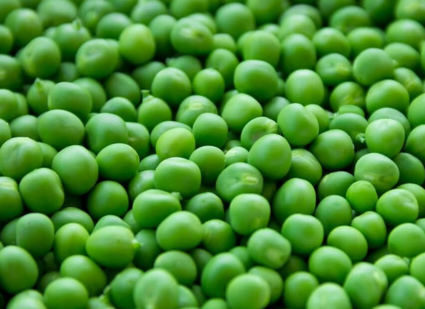 may-9-day-of-glafira-tutes