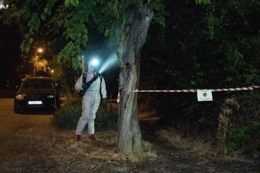 in-sevastopol,-they-continue-to-process-trees-from-pests